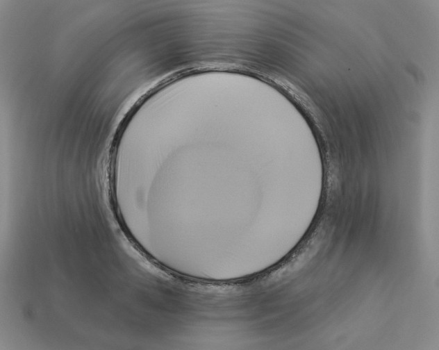 X0000113050941200910081228