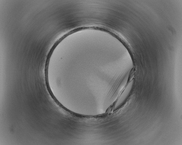X0000113050943200910081228