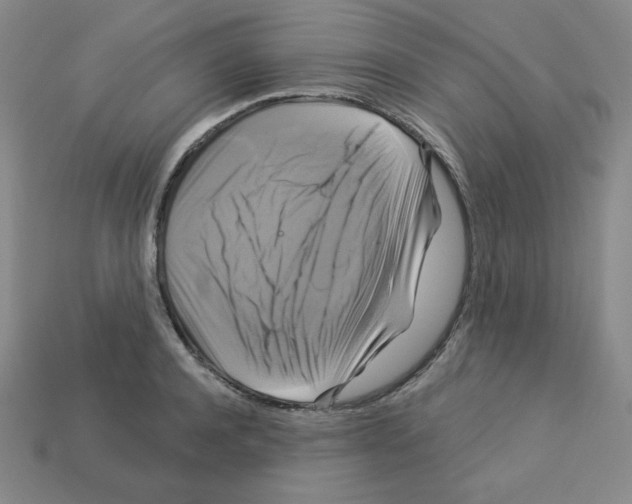 X0000113050944200910081228