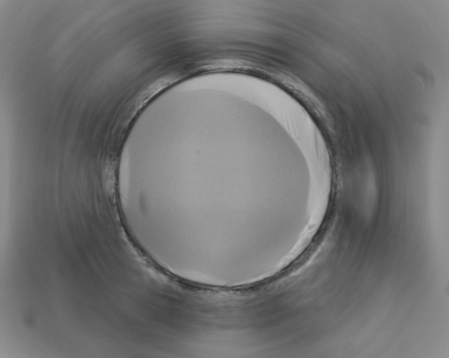 X0000113050945200910081229