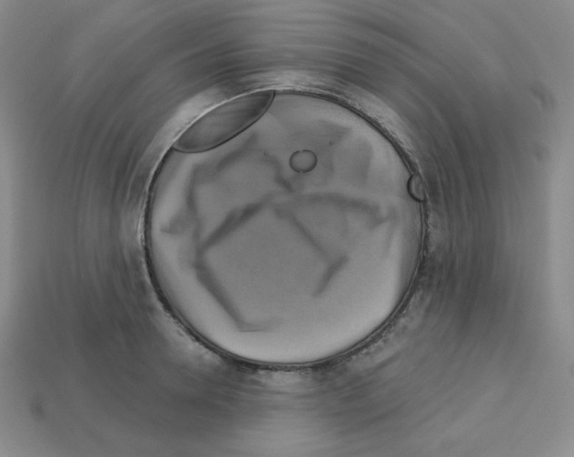 X0000113050946200910081229