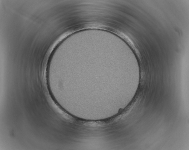 X0000113050947200910081229