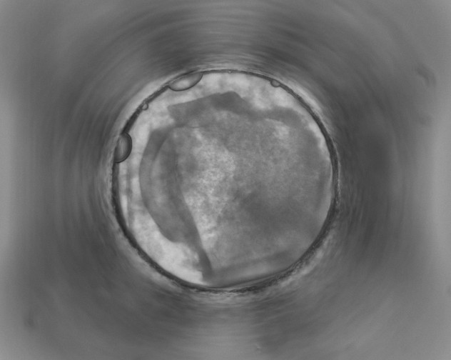 X0000113050949200910081229