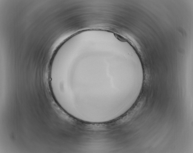X0000113050952200910081229