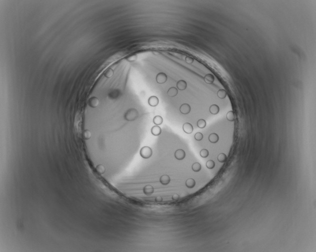 X0000113050953200910081229