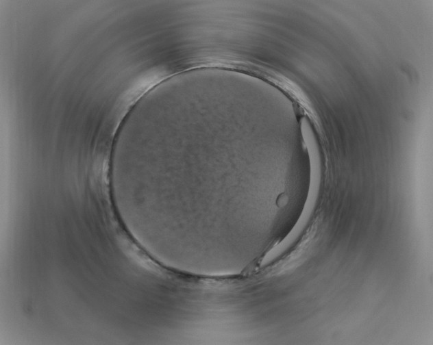 X0000113050954200910081229
