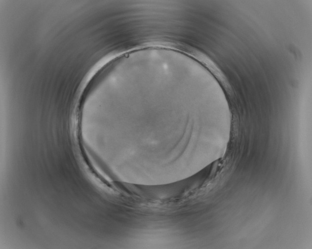 X0000113050955200910081229