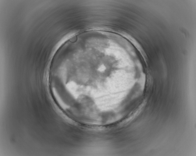 X0000113050957200910081229