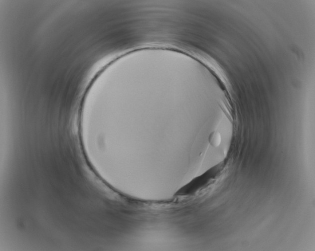 X0000113050958200910081229