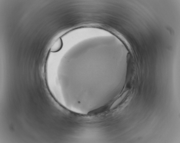 X0000113050959200910081229