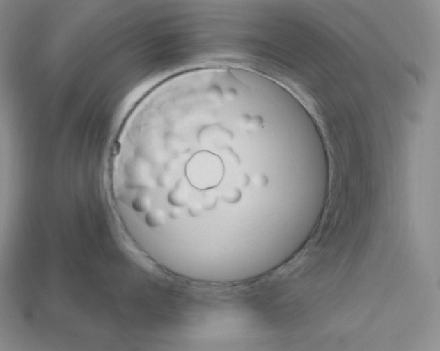 X0000113050960200910081229