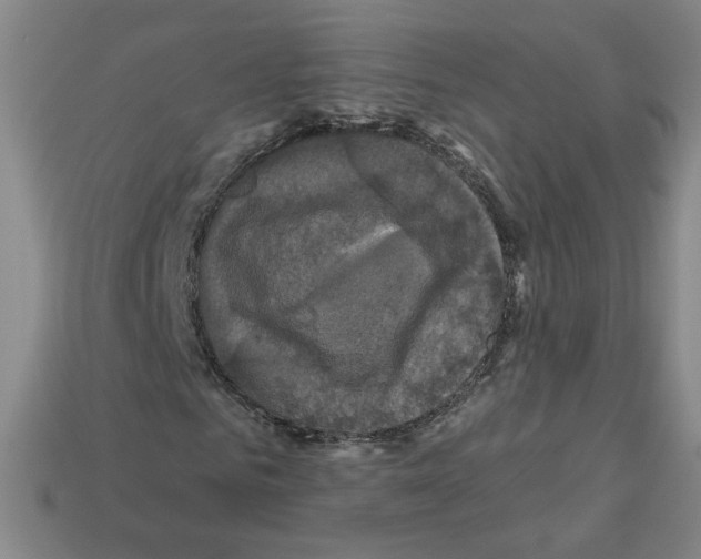 X0000113050961200910081228