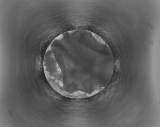 X0000113050963200910081228