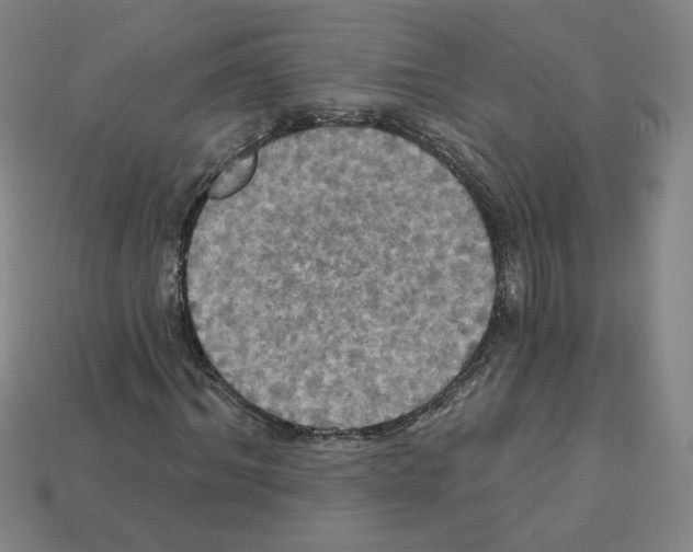 X0000113050964200910081228