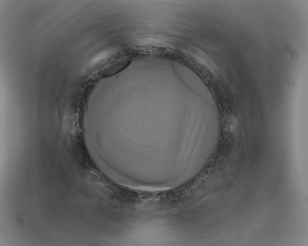 X0000113050965200910081228