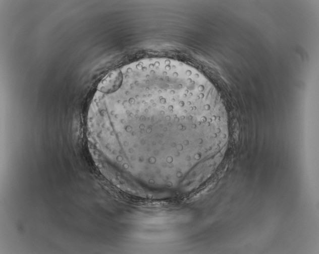 X0000113050966200910081228