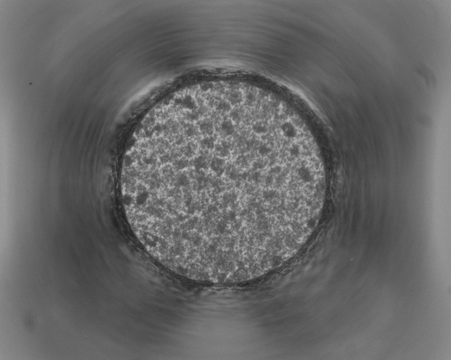 X0000113050967200910081228
