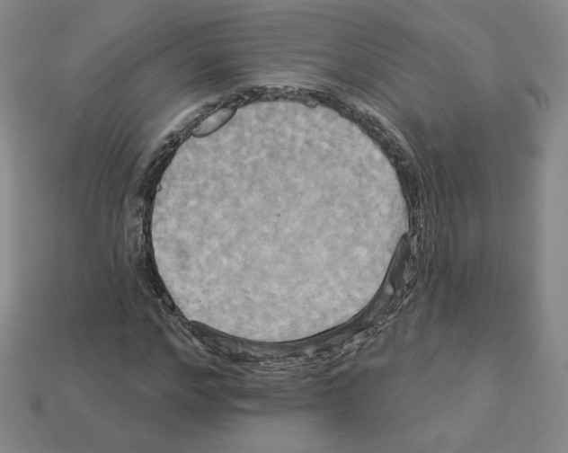 X0000113050968200910081228