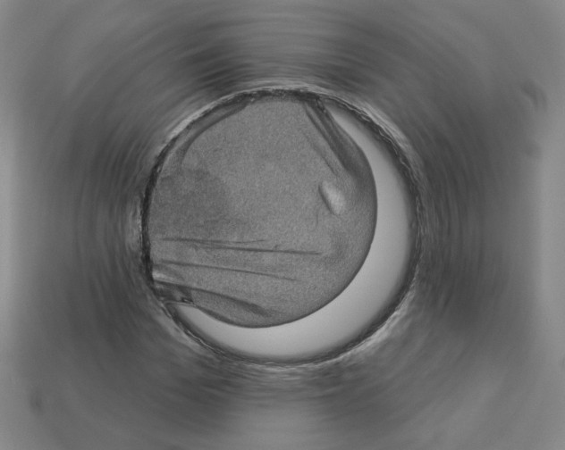 X0000113050969200910081228