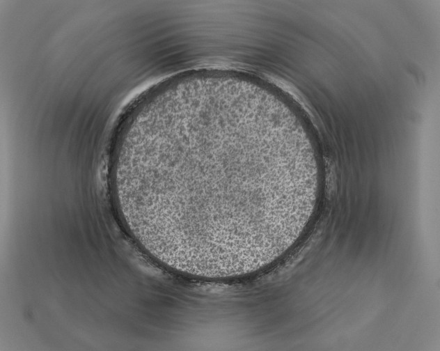 X0000113050971200910081228