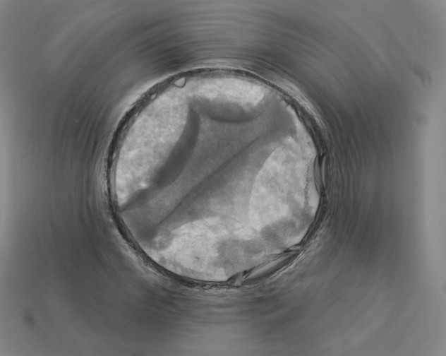 X0000113050972200910081228