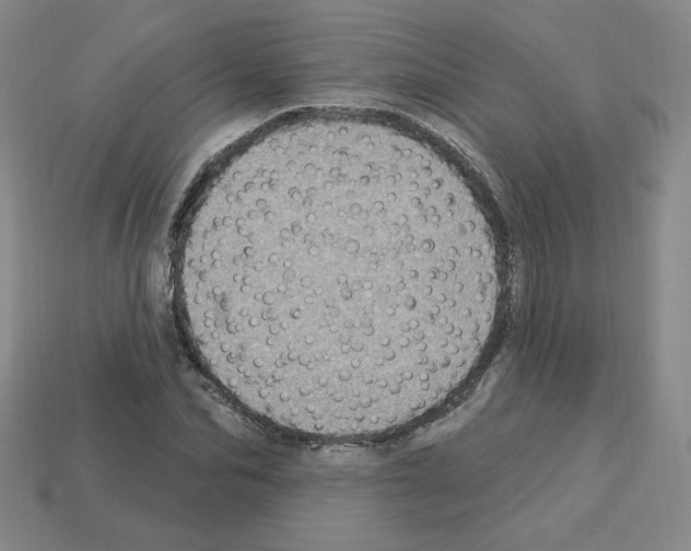 X0000113050974200910081228