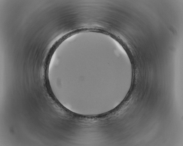 X0000113050975200910081228