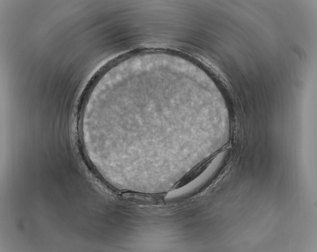 X0000113050976200910081228