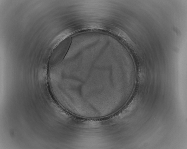 X0000113050977200910081228