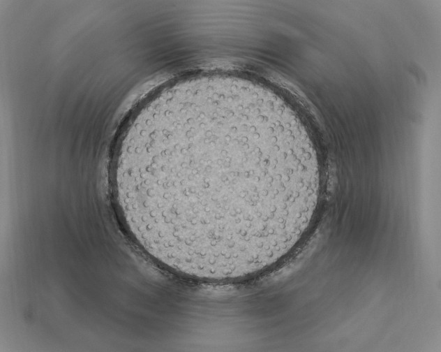 X0000113050978200910081228