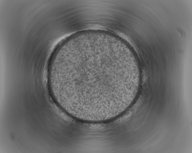 X0000113050979200910081228