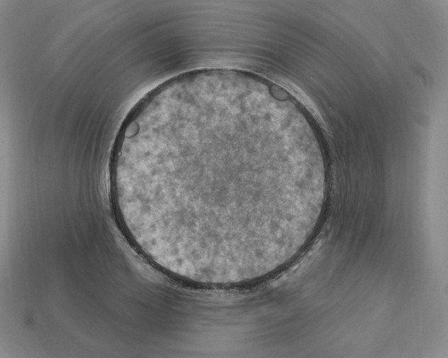 X0000113050980200910081228