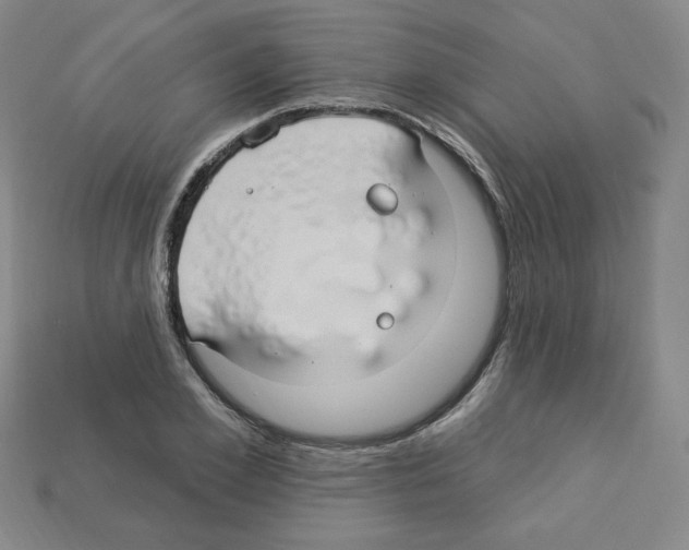 X0000113050981200910081228
