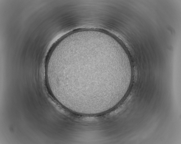 X0000113050982200910081228