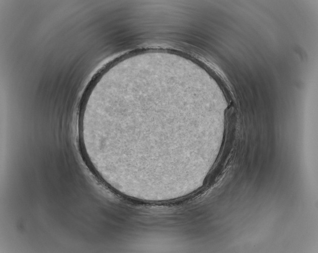 X0000113050984200910081228