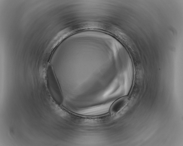 X0000113050985200910081228