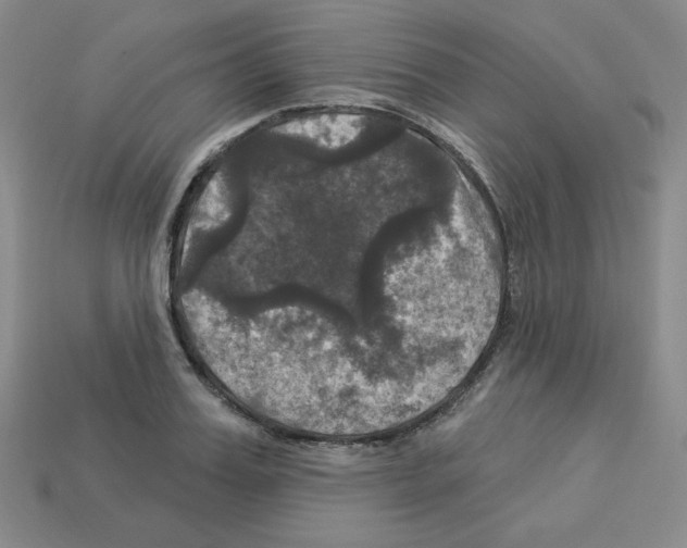 X0000113050987200910081228