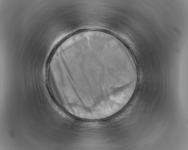 X0000113050990200910081228