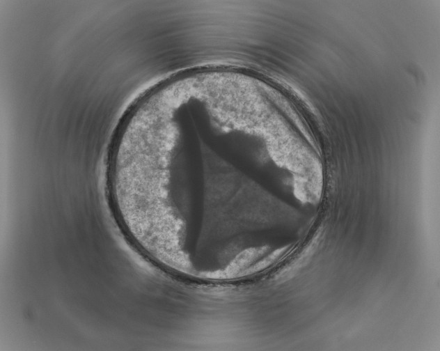 X0000113050991200910081228