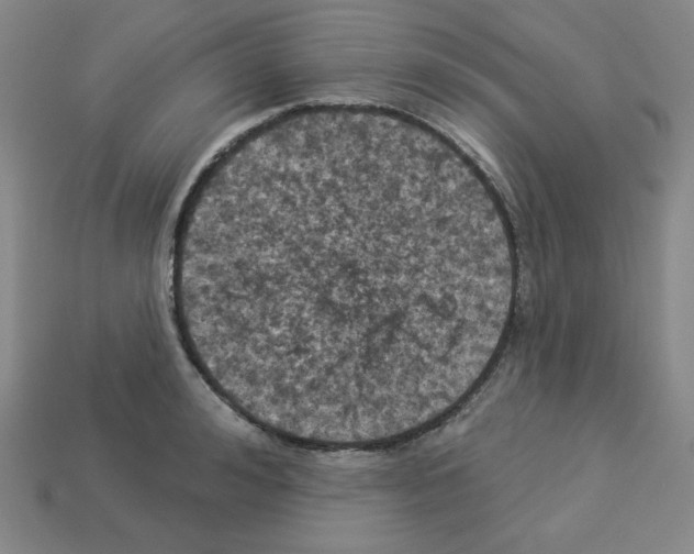 X0000113050992200910081228