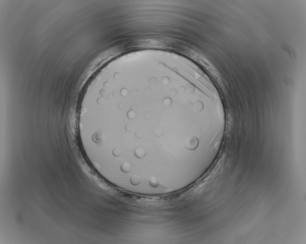 X0000113050994200910081228