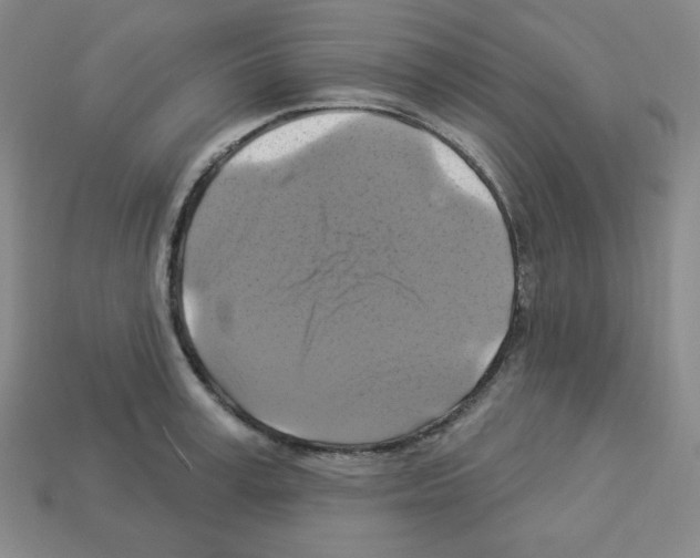 X0000113050995200910081228