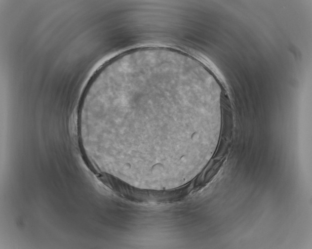 X0000113050996200910081228