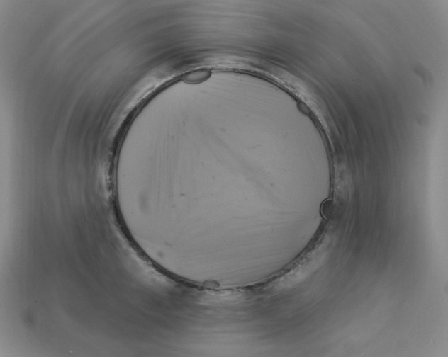 X0000113050997200910081228