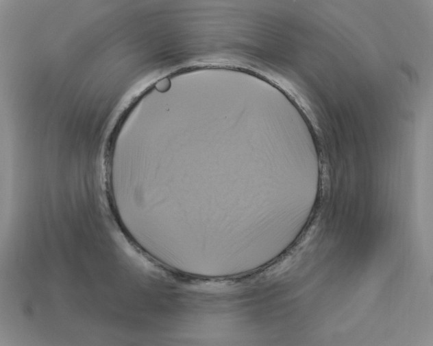 X0000113050998200910081228