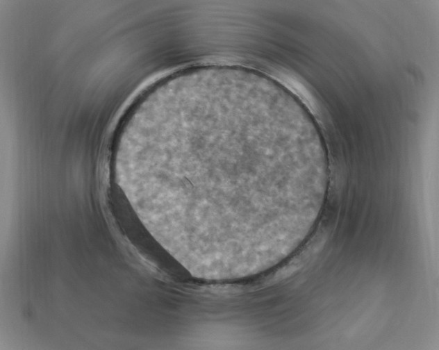 X0000113051000200910081228