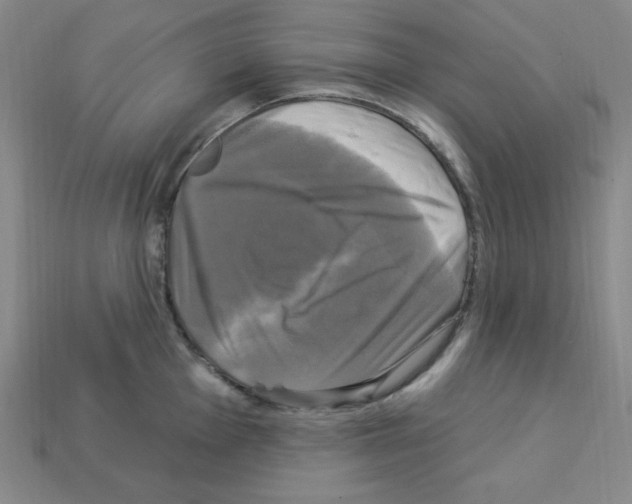X0000113051001200910081228