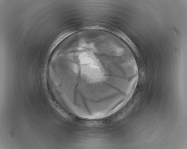 X0000113051002200910081228
