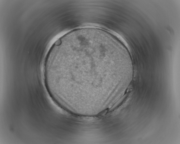 X0000113051003200910081228