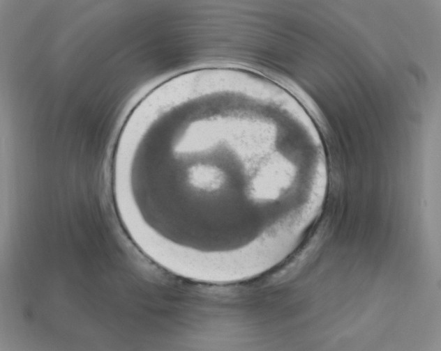 X0000113051004200910081228